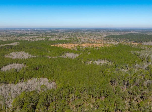 0 Gum Swamp Rd, Greenville, FL 32331