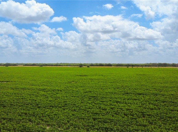 WBD N Hwy 281, Alice, TX 78332