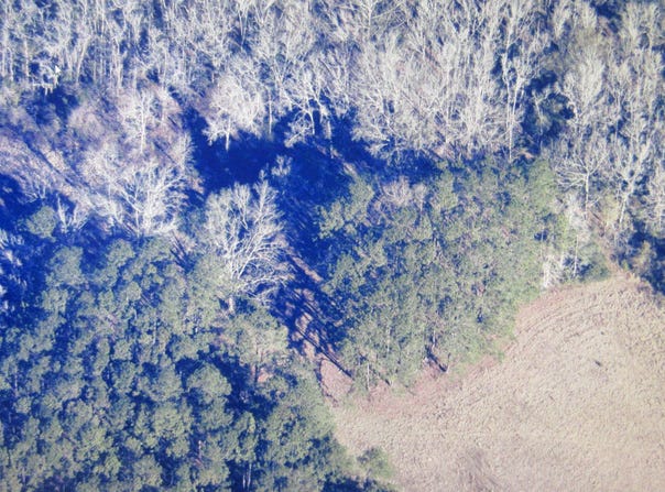 0 Tbd Charleston Highway, Sheldon, SC 29941