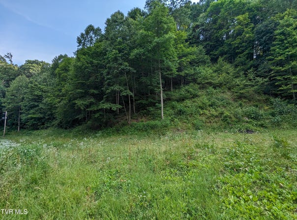 Tbd New Hurland Church Road, Hiltons, VA 24258