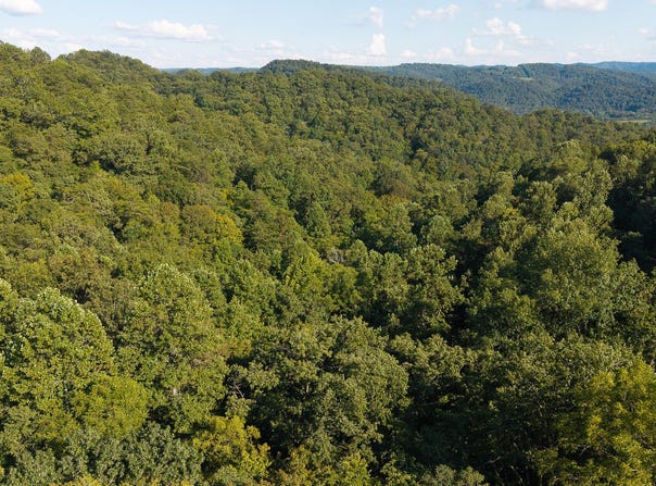 32.38 AC Panther Creek Road, Sneedville, TN 37869