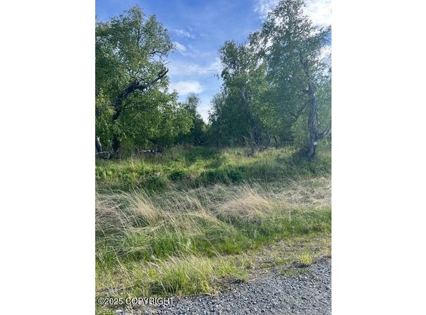 L8 B7 N Cedar Hills Drive, Palmer, AK 99645