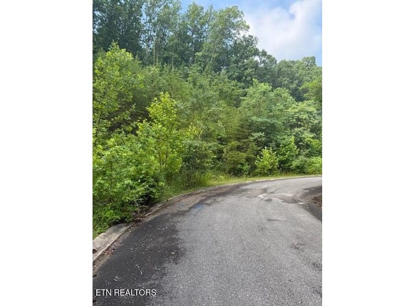 Lot 14 Woodland Creek Drive, Dandridge, TN 37725