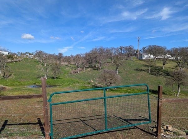 4521 Little John, Copperopolis, CA 95228