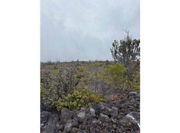 92-8527 IWALANI CIRCLE MAKAI, Ocean View, HI 96737