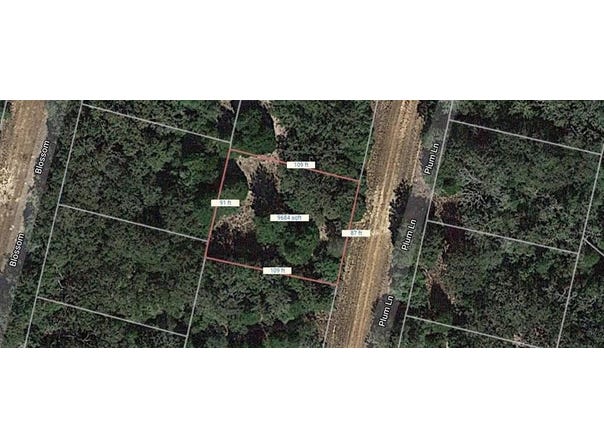 Lot 32 Plum Lane, Normangee, TX 77871