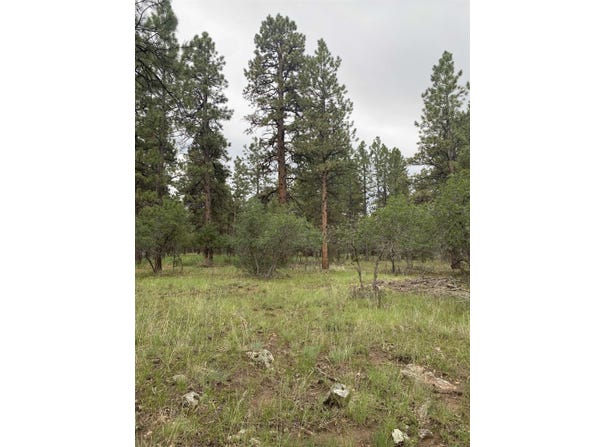 Lot 430 S Badger Trail, Ridgway, CO 81432