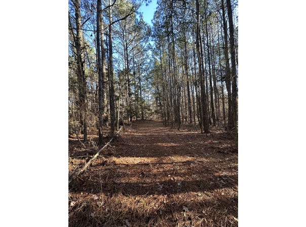 Lot 4 Saggus Road, Washington, GA 30673