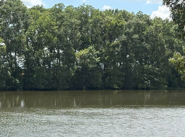 0 L D Knox Rd., Gilbert, LA 71336