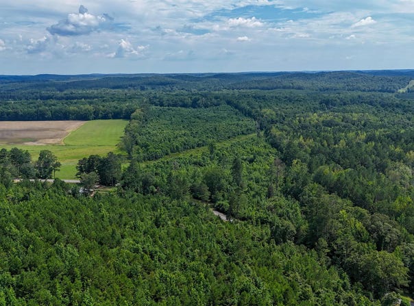 78 Acres County Highway 56, Vina, AL 35593