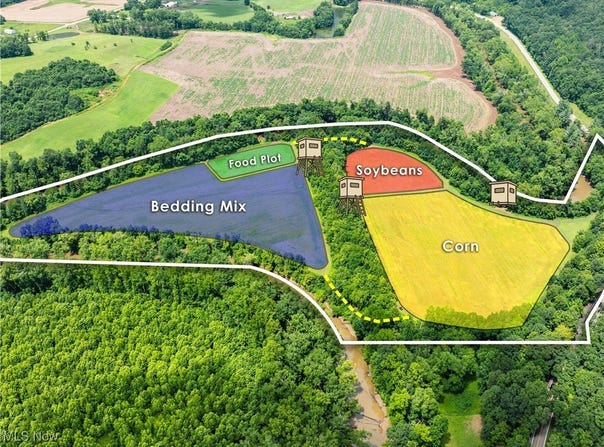 Plainfield Road, Kimbolton, OH 43749