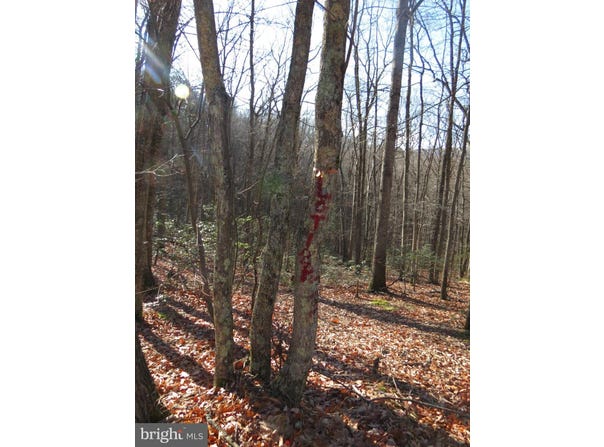 12 CEDARWOOD DRIVE ROAD, MATHIAS, WV 26812