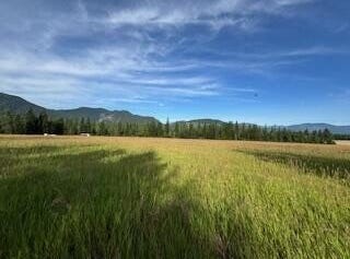 3283 HYYTIAINEN RD, COLVILLE, WA 99114