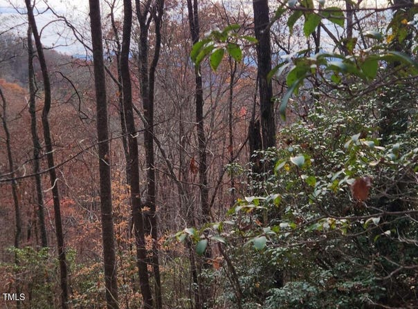 Bear Cove Circle, Bryson City, NC 28713