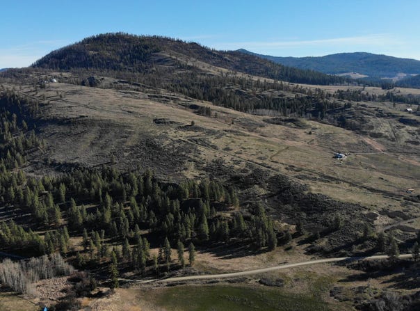 19XX GODDARD RD, RICE, WA 99167