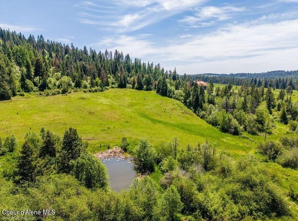 Tract E Thimbleberry Lane, Plummer, ID 83851