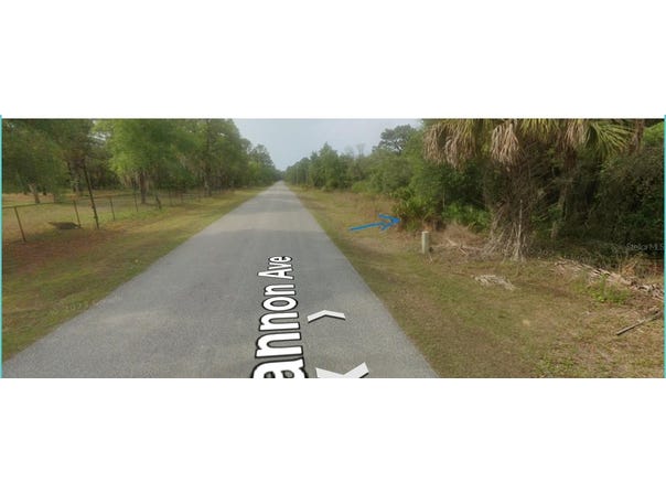 8186 N SHANNON AVENUE, CRYSTAL RIVER, FL 34428