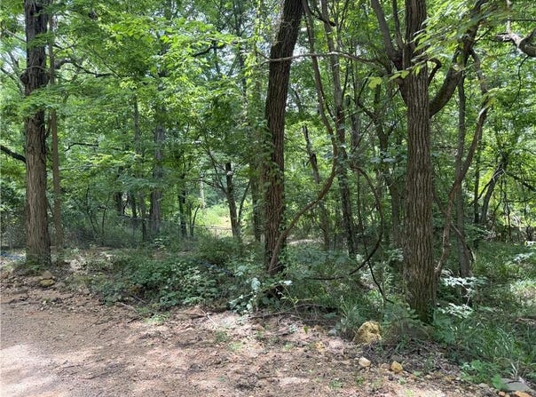 TBD Gum Springs  RD, Parthenon, AR 72666