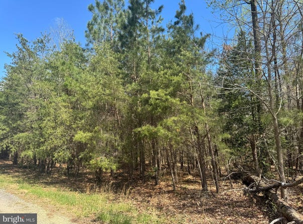 LOVEVILLE ROAD, MECHANICSVILLE, MD 20659
