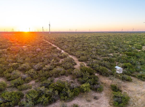 Walnut Road, Robert Lee, TX 76945