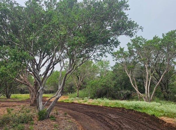 Cr 119, Burnet, TX 78611