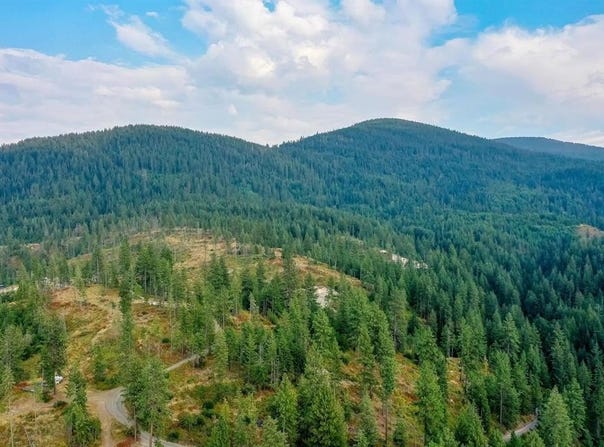 31xxx N South Jackson Rd, Elk, WA 99009
