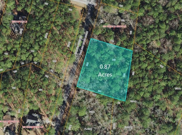 335 Pamlico River Drive lot: 123, Washington, NC 27889