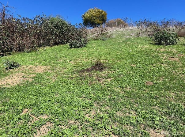 0 Lot 9 Latrobe St, Los Angeles, CA 90031