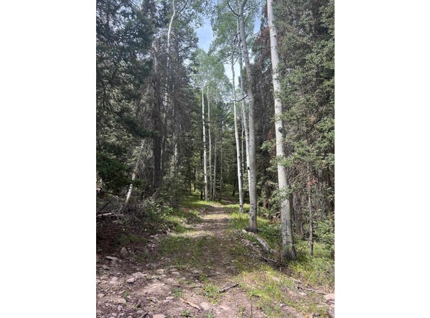 427 Juniper Drive, Cimarron, CO 81220