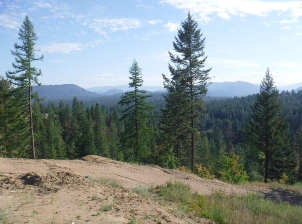 Lot 2 Moose Ridge Way, Loon Lake, WA 99148