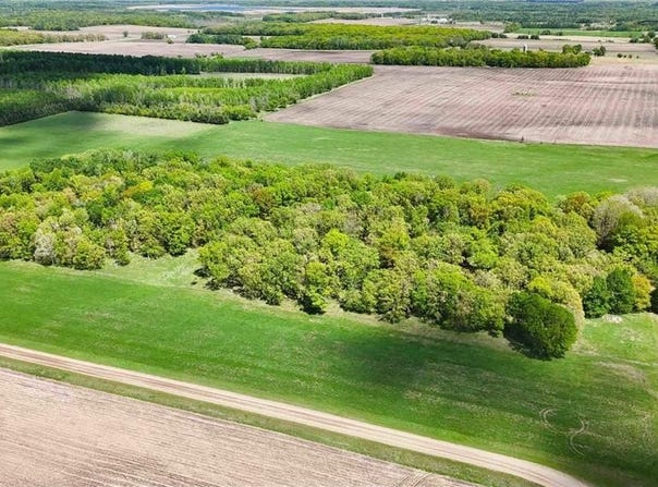 40 Acres Red Oak Road, Staples, MN 56479
