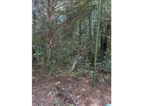 SKYBALL ROAD lot: 0, HAYDEN, AL 35079