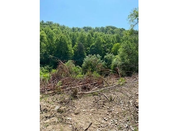 Rye Branch (DB 225, DP 424-433), Gunlock, KY 41632