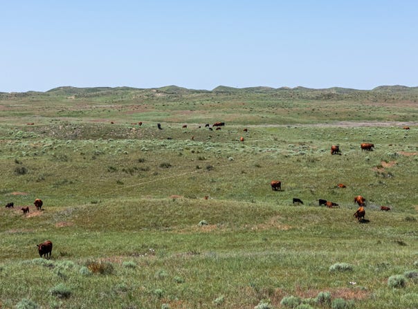 0000 HWY 385, Bonner, NE 69331