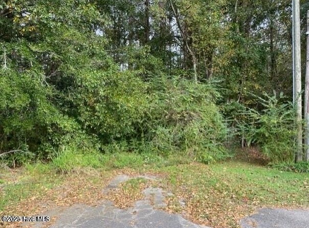 0 Near 715 E 1st Avenue, Chadbourn, NC 28431