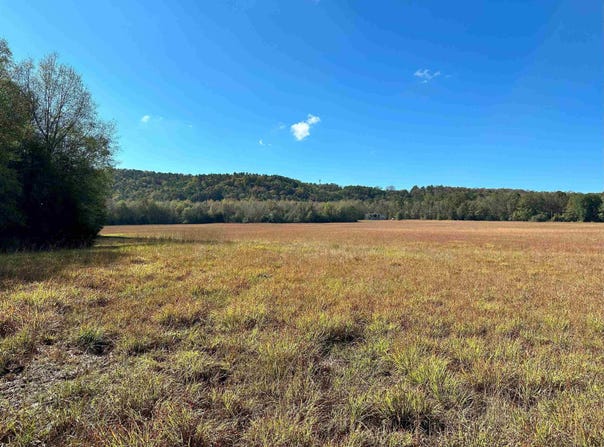 Peaceful Valley Road, Dover, AR 72837-0000
