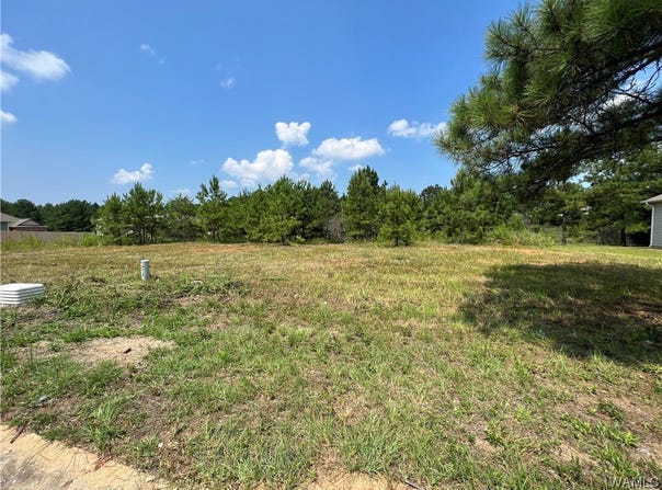 0101 Crimson Ridge Rd lot 101, Brookwood, AL 35444