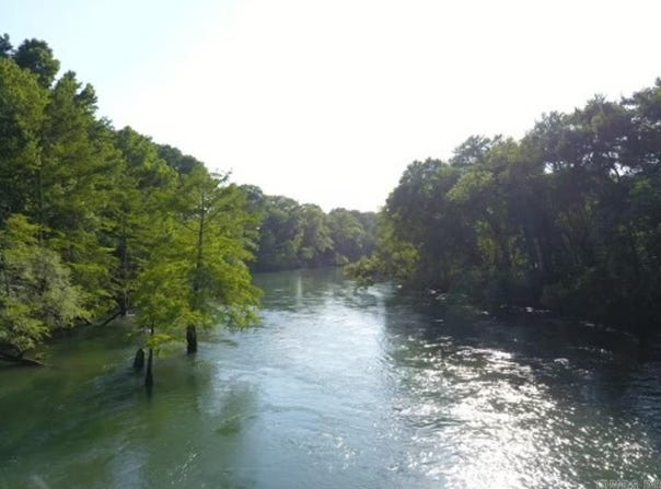 Hwy 124, Pangburn, AR 72121