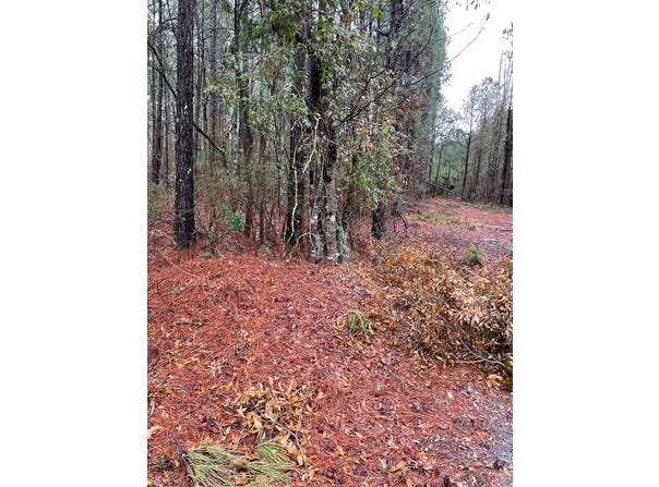 00 Archer Avenue, Manning, SC 29102