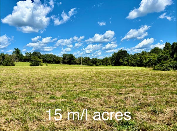 000 Tbd County Road 900, Theodosia, MO 65761