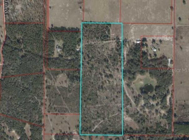 Tbd NE 75TH STREET, WILLISTON, FL 32696