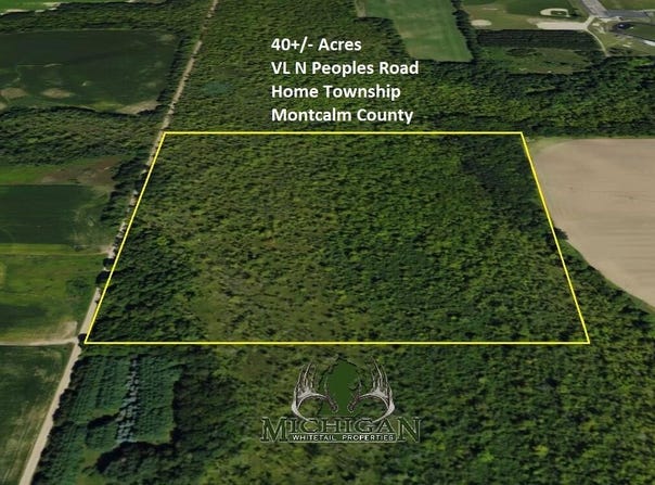 VL Peoples Road, Edmore, MI 48829
