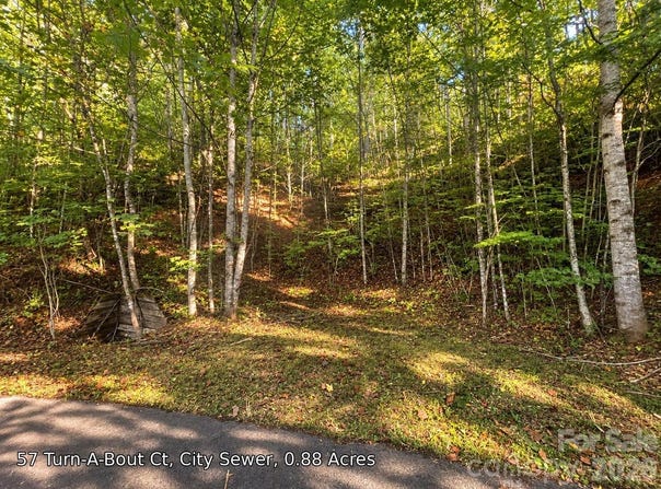 250 Turn-A-Bout Court, Maggie Valley, NC 28785