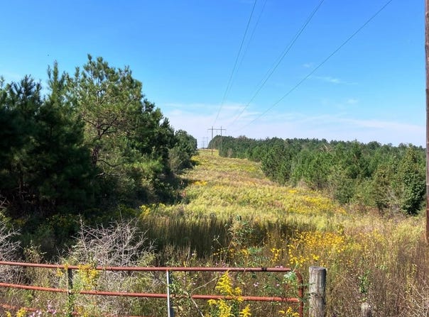 2272 Purvis Baxterville Road, Lumberton, MS 39455