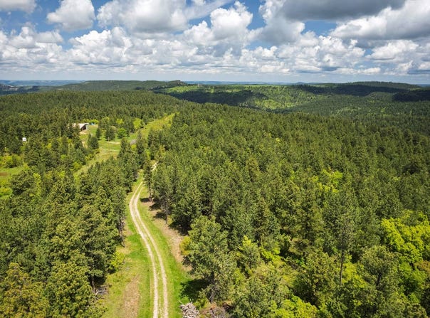 336  Middle Fork Rd, Devils Tower, WY 82714