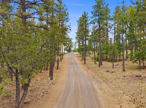 1628 CANYON VIEW Loop, Williams, AZ 86046