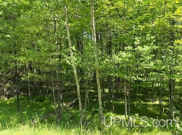 TBD Quinnesec Lake Antoine, Iron Mountain, MI 49801