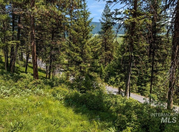 L5 B29 Sorrel Dr, New Meadows, ID 83654