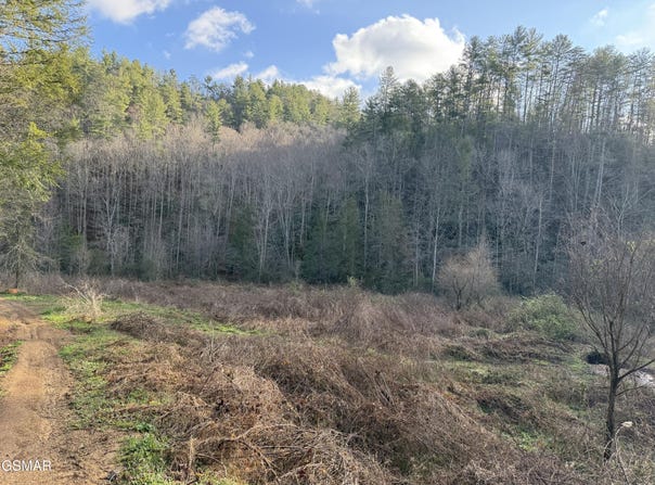 0 Rocky Creek Rd Road, Del Rio, TN 37727