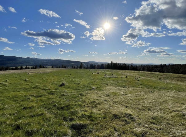 1204 Morris Road, Princeton, ID 83857